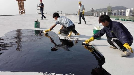 屋面防水涂料有哪些